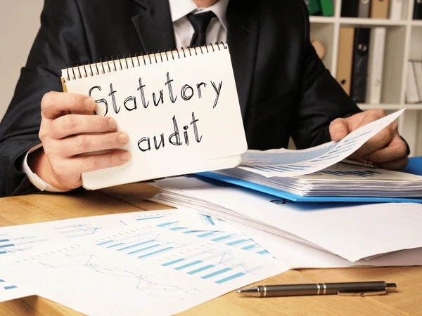 The Complete Company Statutory Audit Process: From Planning to Audit Report